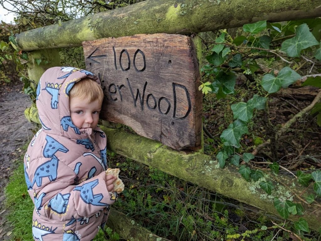Oliver wearing a dinosaur coat standing beside a wooden sign that reads “100 Aker Wood.”