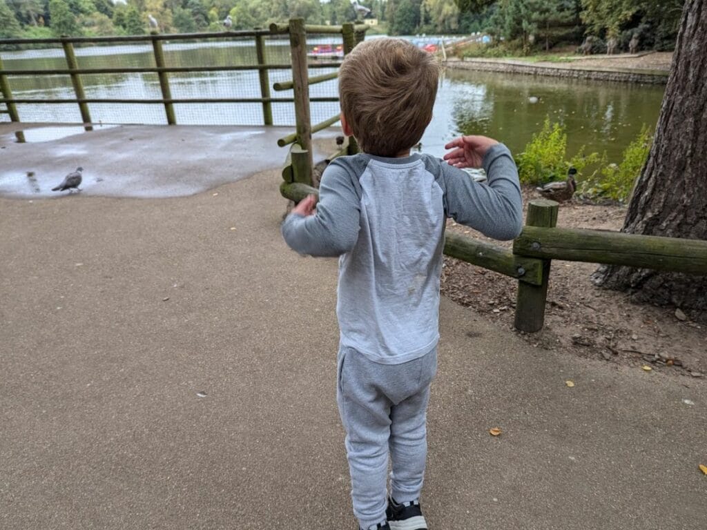 Oliver standing near a lake watching ducks at the park.
